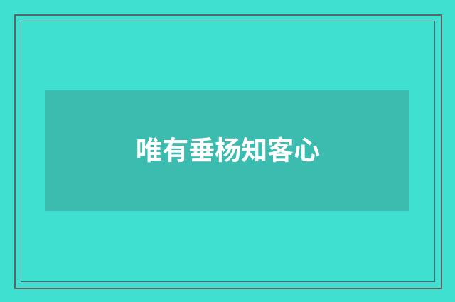 唯有垂杨知客心