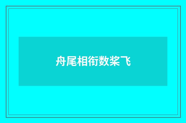 舟尾相衔数桨飞