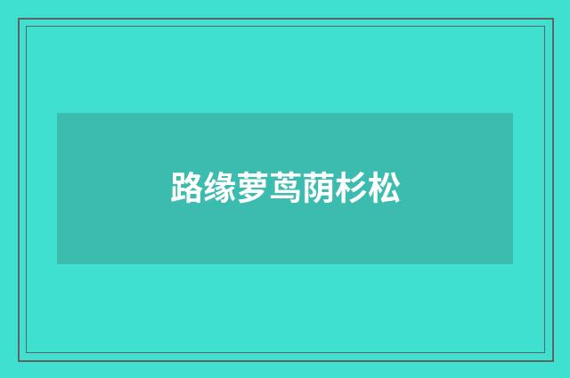 路缘萝茑荫杉松