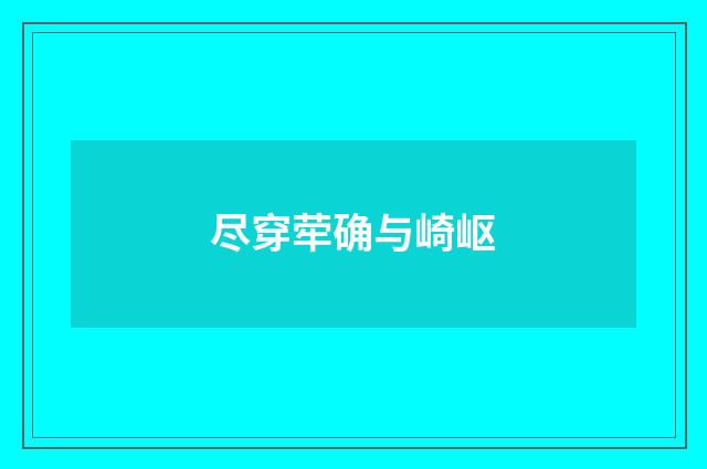 尽穿荦确与崎岖