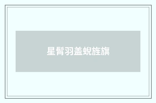 星髾羽盖蜺旌旗