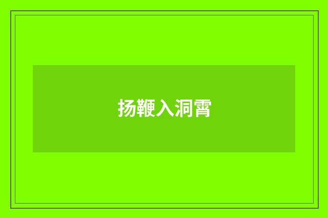 扬鞭入洞霄
