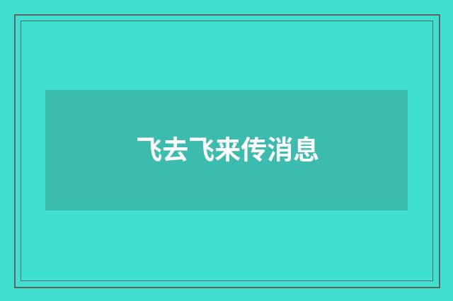 飞去飞来传消息