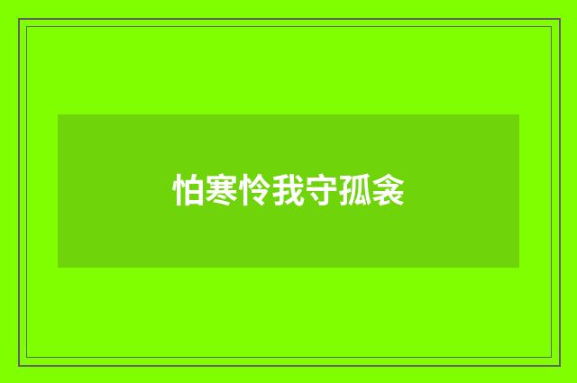 怕寒怜我守孤衾