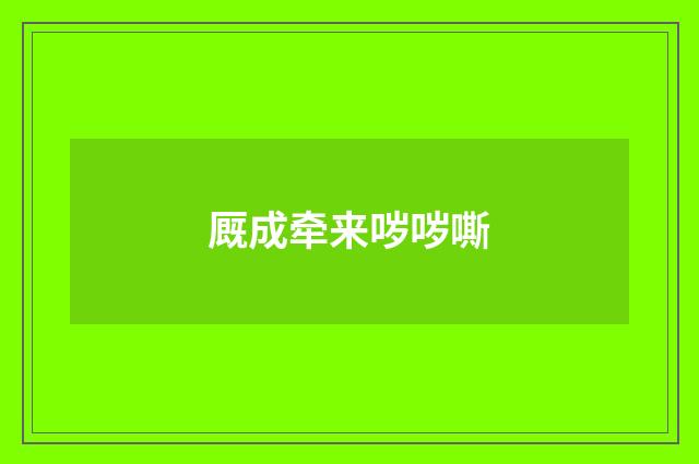厩成牵来哕哕嘶