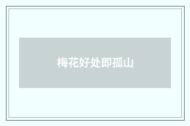 梅花好处即孤山