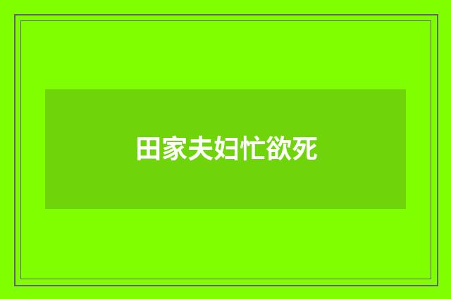 田家夫妇忙欲死