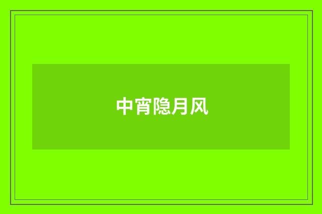 中宵隐月风