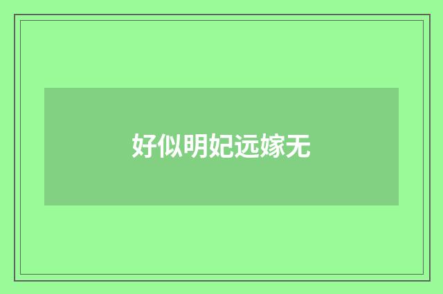 好似明妃远嫁无