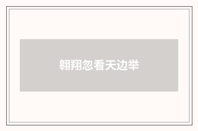 翱翔忽看天边举