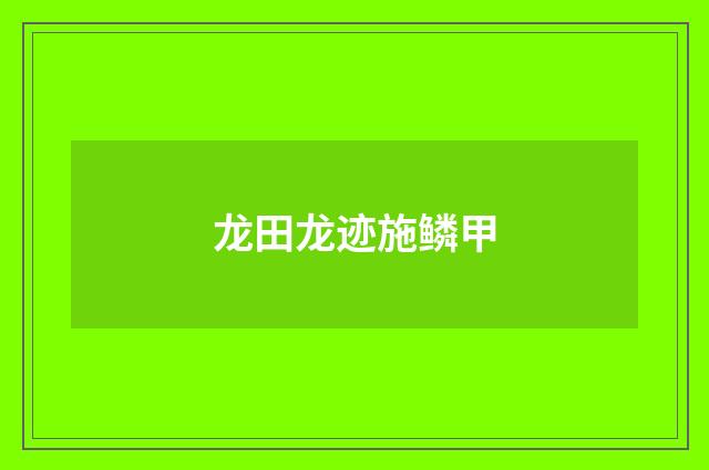 龙田龙迹施鳞甲