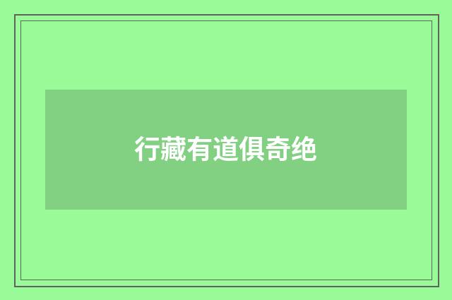 行藏有道俱奇绝