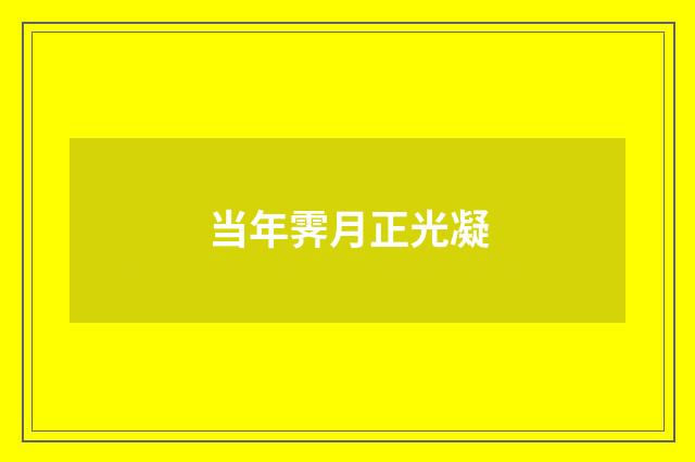 当年霁月正光凝