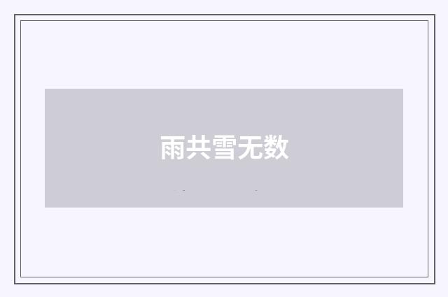 雨共雪无数
