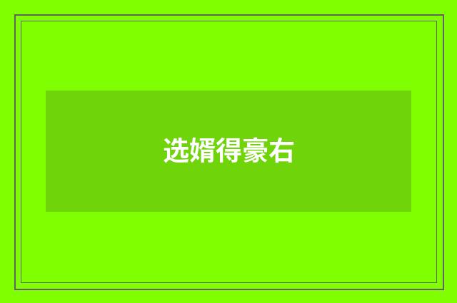 选婿得豪右