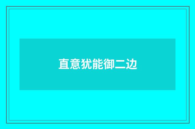 直意犹能御二边