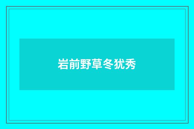 岩前野草冬犹秀