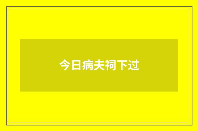 今日病夫祠下过