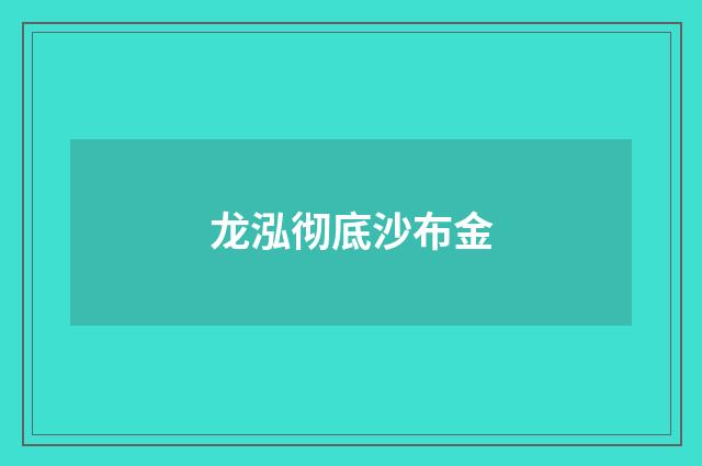 龙泓彻底沙布金
