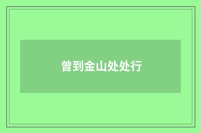 曾到金山处处行