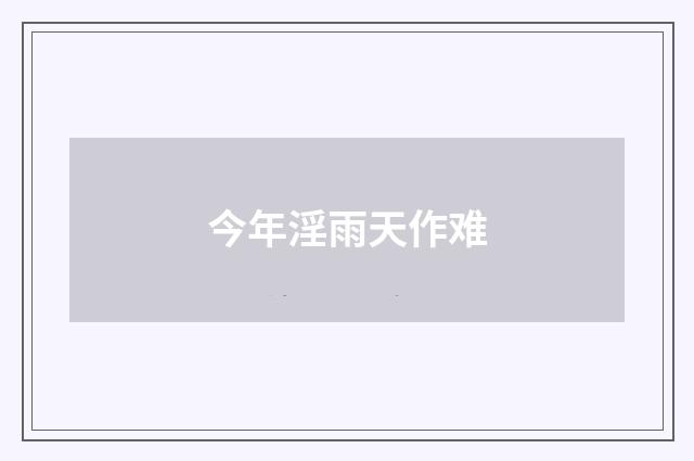 今年淫雨天作难