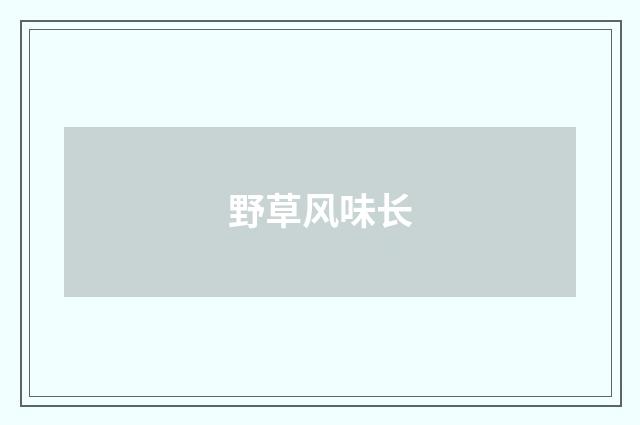 野草风味长