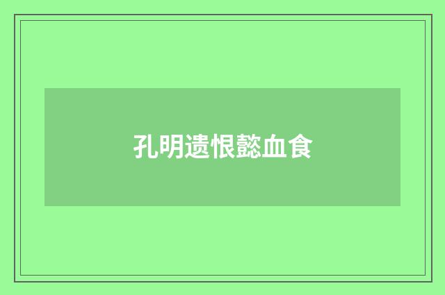 孔明遗恨懿血食