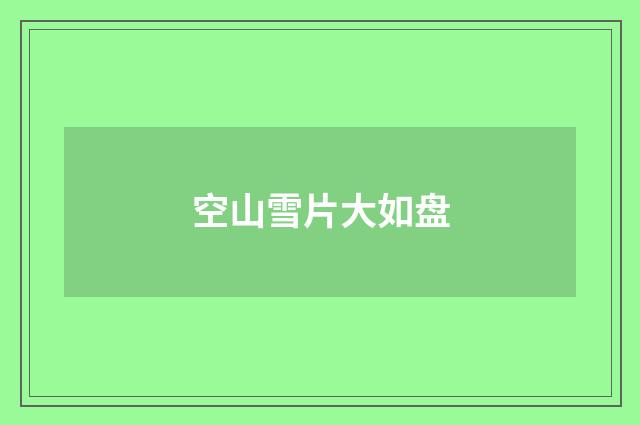 空山雪片大如盘