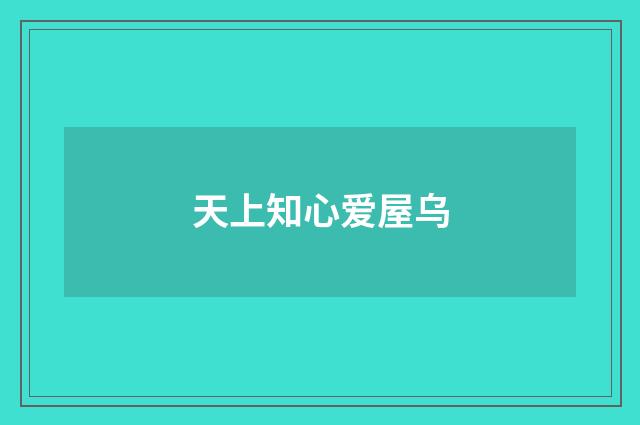 天上知心爱屋乌