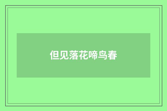 但见落花啼鸟春