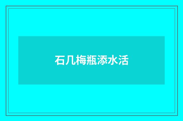 石几梅瓶添水活