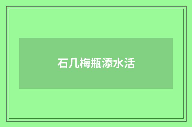 石几梅瓶添水活