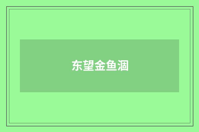东望金鱼涸