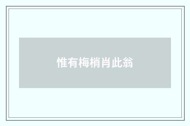 惟有梅梢肖此翁