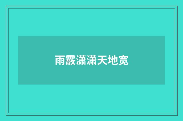 雨霰潇潇天地宽