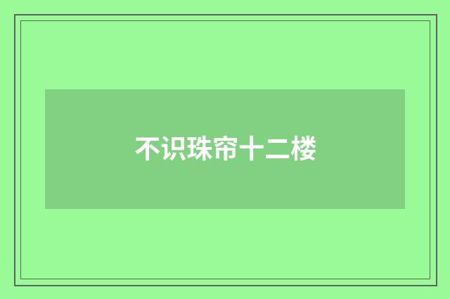 不识珠帘十二楼