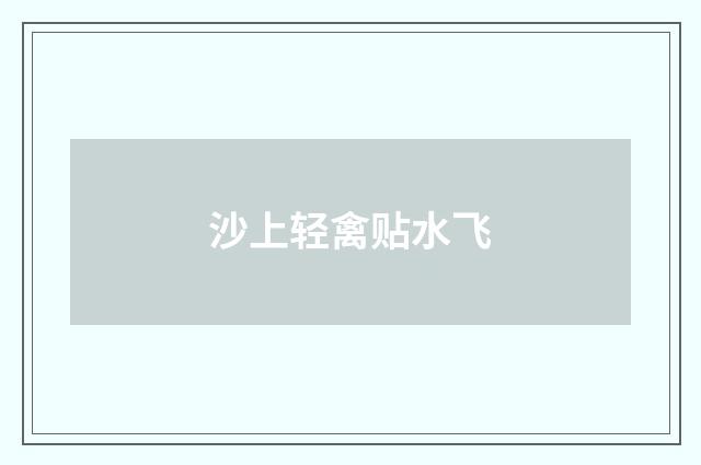 沙上轻禽贴水飞