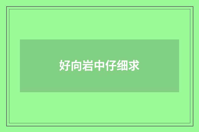 好向岩中仔细求