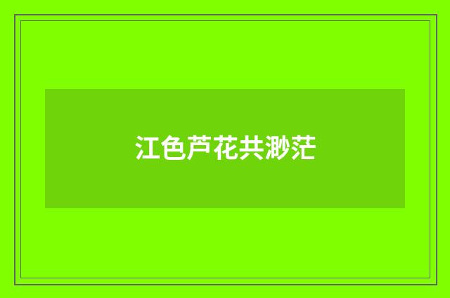 江色芦花共渺茫