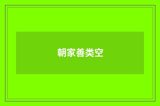 朝家善类空