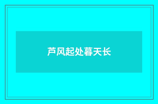 芦风起处暮天长