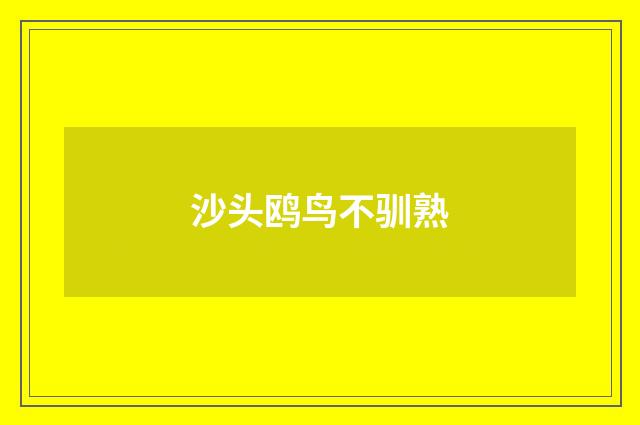 沙头鸥鸟不驯熟