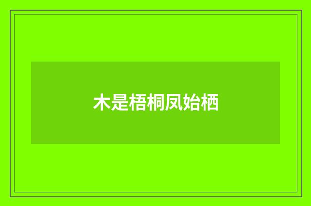木是梧桐凤始栖