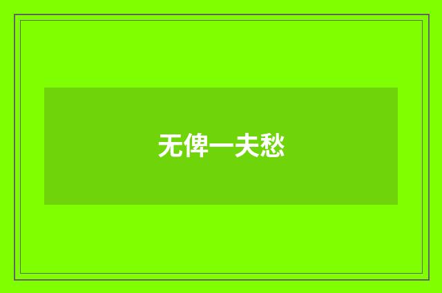 无俾一夫愁