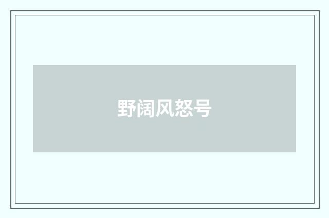 野阔风怒号