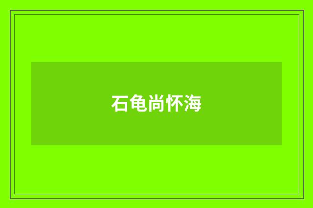 石龟尚怀海