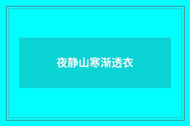 夜静山寒渐透衣
