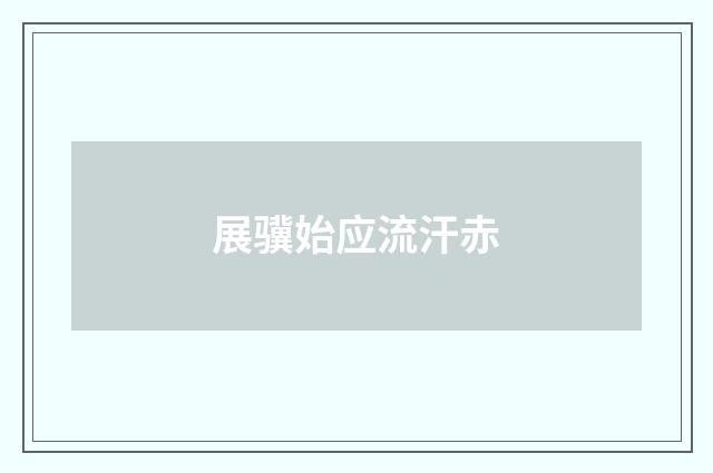 展骥始应流汗赤