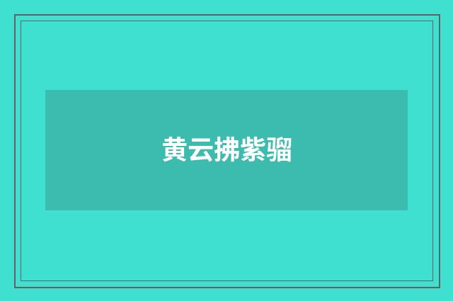 黄云拂紫骝