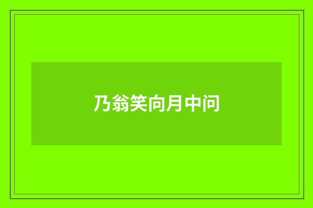乃翁笑向月中问